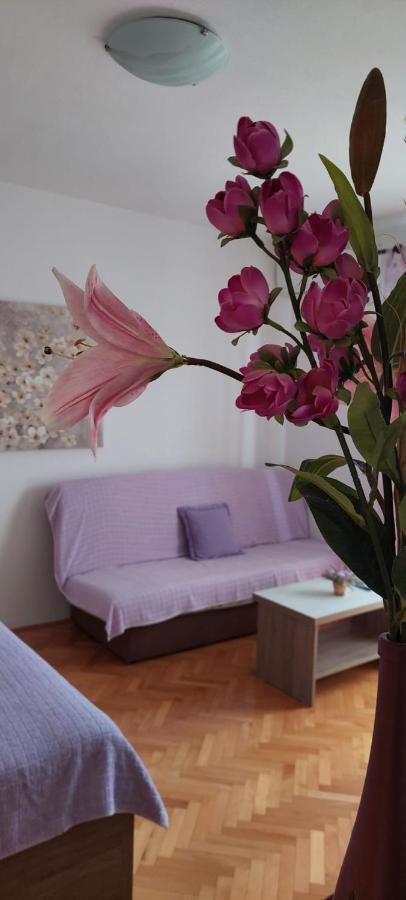 פג Apartments Barcarola מראה חיצוני תמונה